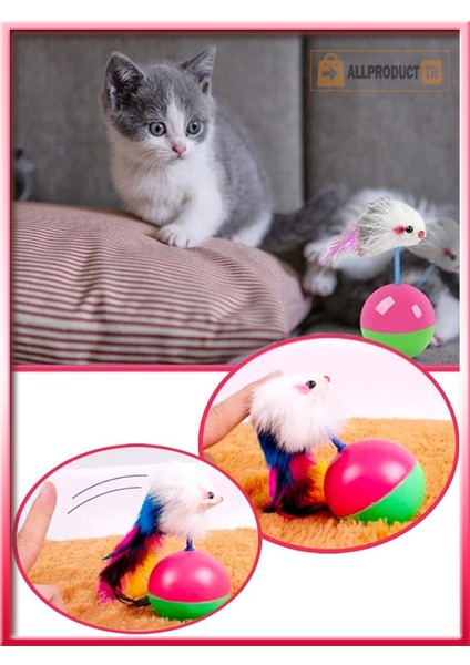 Kedi Oyun Topu Tüylü Fareli Hacı Yatmaz Eğitici Yavru Kedi Oyuncağı Devrilmez Plastik Peluş Fareli Kedi Topu 1 Adet fırsatları