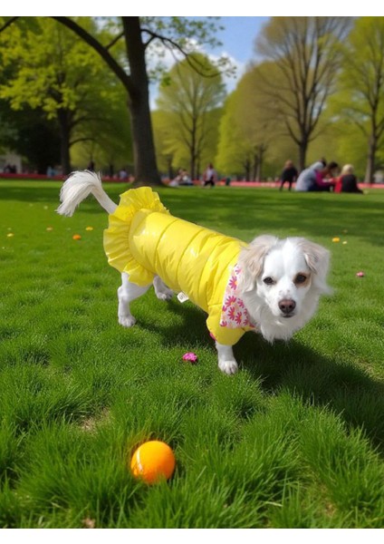 Köpekmontu, Su Geçirmez ,kapşonlu