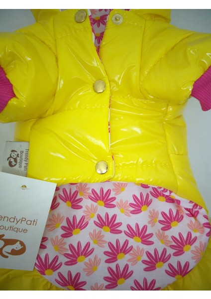 Köpekmontu, Su Geçirmez ,kapşonlu indirimleri