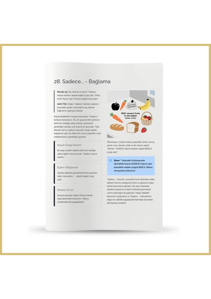 Mantıksal Düşünme Seviye-1 modelleri