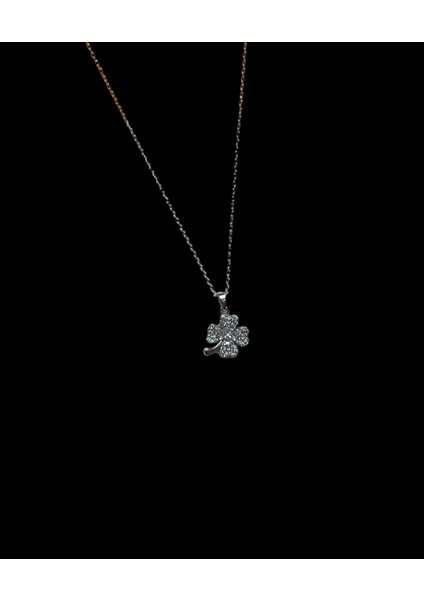 316L Çelik Yonca Kolye Çelik Kadın Kolye Taşlı Dört Yapraklı Şans Kolyesi, Gümüş Renk Çelik Kolye, 316L Çelik Kolye, Gümüş Renk Kolye, Yonca Kolye, Taşlı Kolye, Şans Kolyesi, Dört Yapraklı Kolye