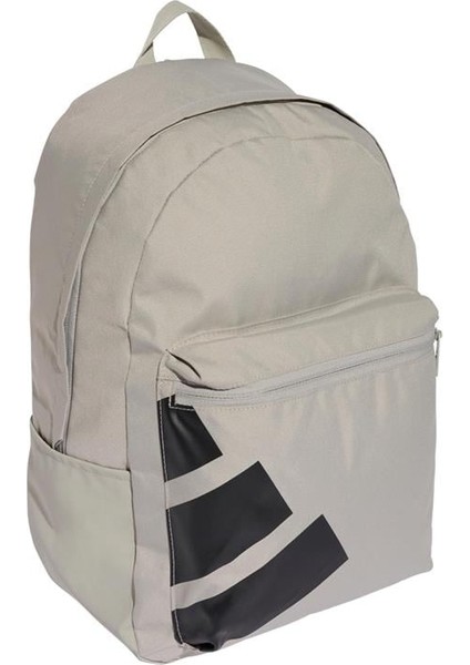 Gri Sırt Çantası Clsc Bars Bts JX9063 fiyatları