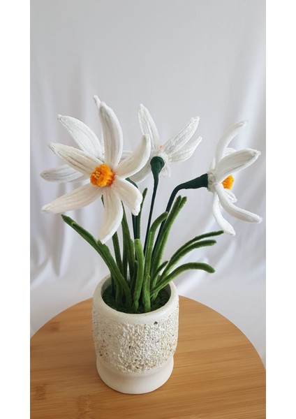 Nergis Saksı Çiçeği- Zerrinkadeh fiyatları