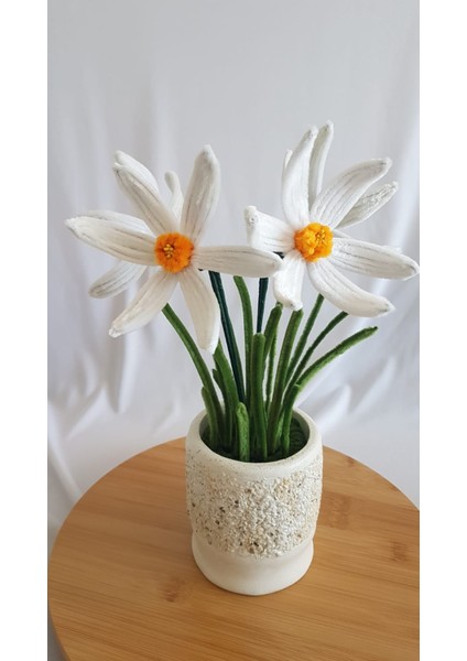 Nergis Saksı Çiçeği- Zerrinkadeh fırsatları