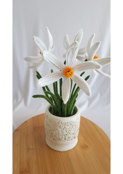 Nergis Saksı Çiçeği- Zerrinkadeh indirimleri