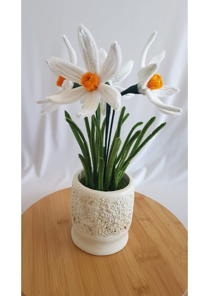 Nergis Saksı Çiçeği- Zerrinkadeh