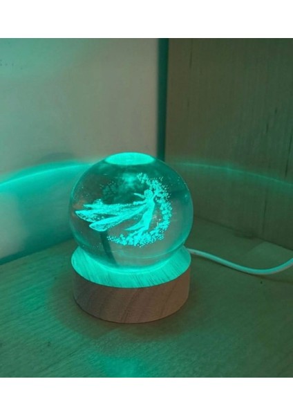 Orta Boy Prenses Temalı Cam Ahşap Zeminli Küre modelleri