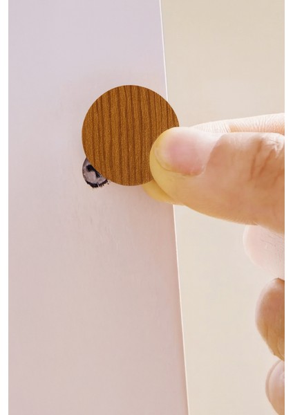 Yapışkanlı Yapıştırma Vida Tapası Tıpası Antik Çam Vida Kapatıcı Kapağı (200 Adet) fiyatları