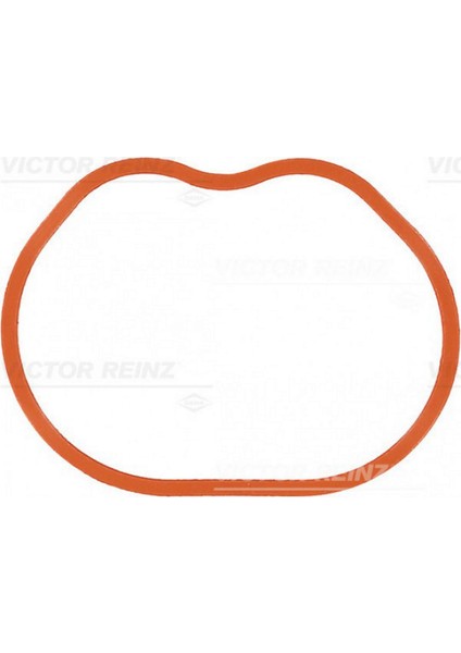 Mtxdpn Emme Manifold Takim Conta Silikon Focus Ii 1.6 16V Benzinli 07