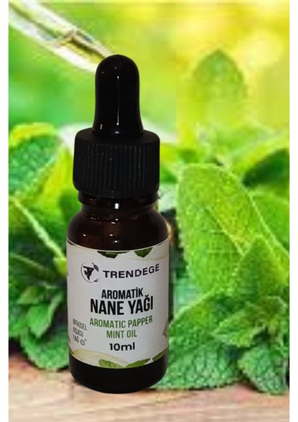Aromatik Nane Yağı 10 ml (Aromatıc Papper Mınt Oil)