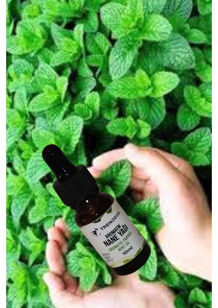 Aromatik Nane Yağı 10 ml (Aromatıc Papper Mınt Oil) fiyatları