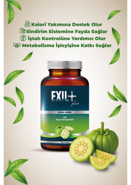 - Garcinia Cambogia, Inulin, Yeşil Çay ve Kahve Ağacı Içeren Takviye Edici Gıda