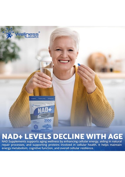 Wellness Labs Liposomal Nad+ Nicotinamide Riboside Resveratrol Nmnh Niacin Copper 90 Softgels modelleri