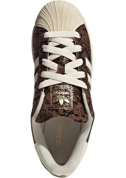 Kadın Kahverengi Sneaker SUPERSTAR II W JP8158