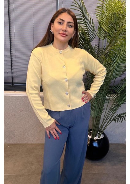 Sarı Gümüş Düğmeli Hırka fiyatları