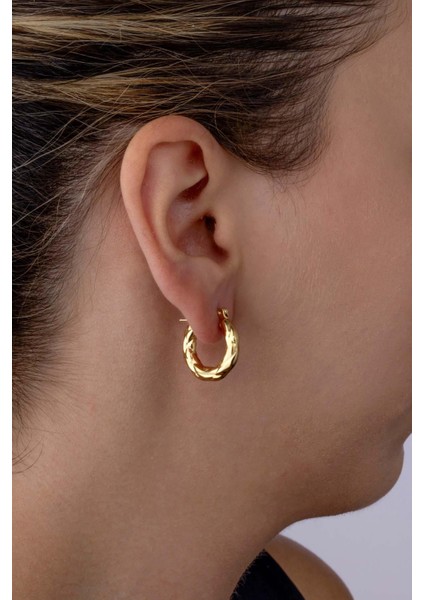 Altın Kaplama Burgu Model Çelik Küpe fiyatları