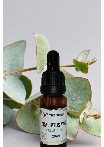 Okaliptus Yağı 20 ml (Eucalyptus Oil)
