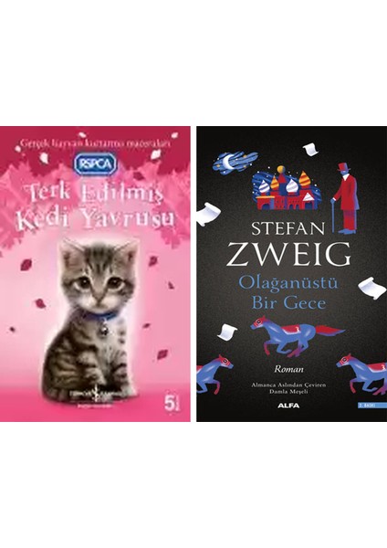 Terk Edilmiş Kedi Yavrusu + Olağanüstü Bir Gece