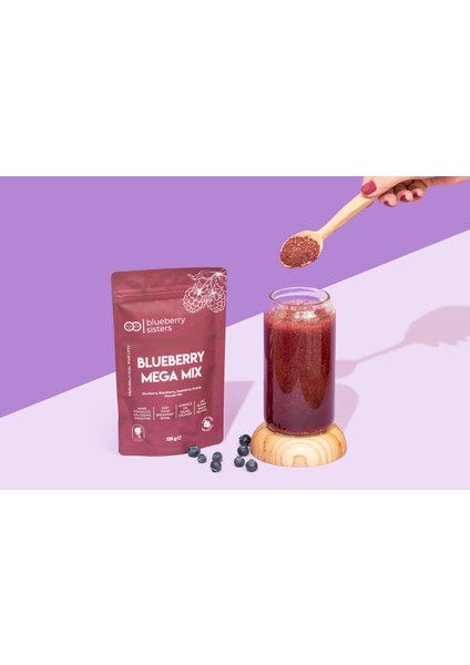 Blueberry Mega Mix 125GR. fiyatları