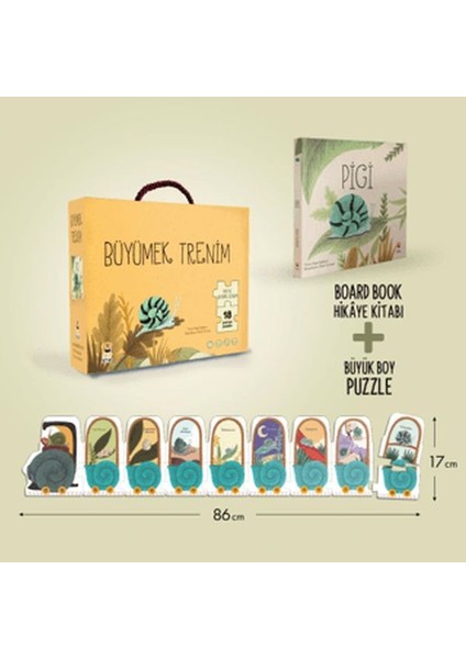 Pigi Büyümek Trenim