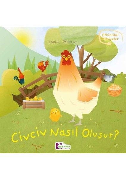 Oluşum Hikayeleri - Civciv Nasıl Oluşur?