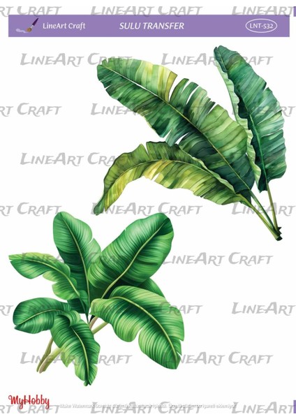 LNT532 Yaprak, Yeşil Tonları Açık Zemin Sulu Transfer 25*35 cm