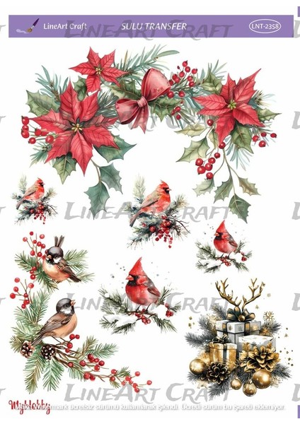 ST2358 Yeniyıl Serisi, Atatürk Çiçeği, Kızılgerdan Desenli Açık Zemin Sulu Transfer 25*35 cm