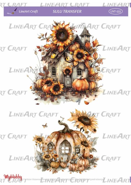 LNT555 Kabak, Haloween, Sonbahar Tonları Açık Zemin Sulu Transfer 25*35 cm