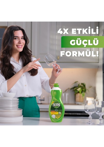 4 Etkili Bulaşık Makinesi Kapsülü 56'lı + Tems Bulaşık Makinesi Parlatıcı 400 ml + Tems Elde Yıkama Bulaşık Deterjanı 500 ml