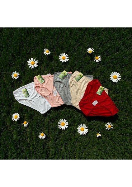 Kadın Bambu Nefes Alan Kumaş Külot 3'lü fiyatları