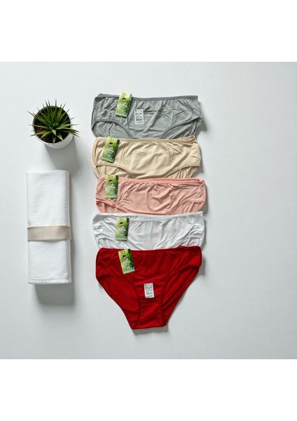 Kadın Bambu Nefes Alan Kumaş Külot 3'lü fırsatları