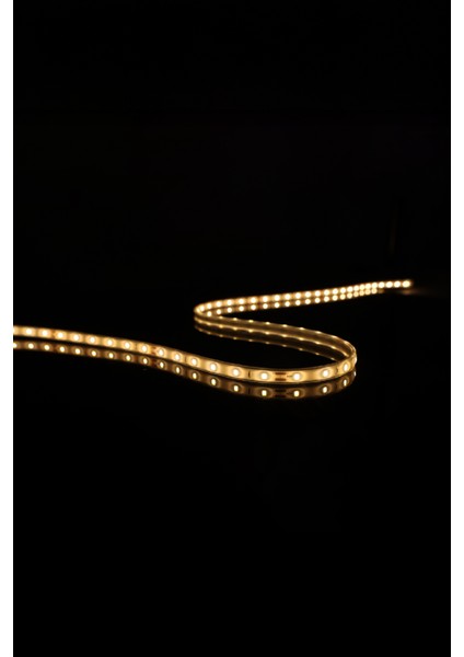 20 mt Dış Mekan IP68 Havuz Bahçe Şerit LED fiyatları