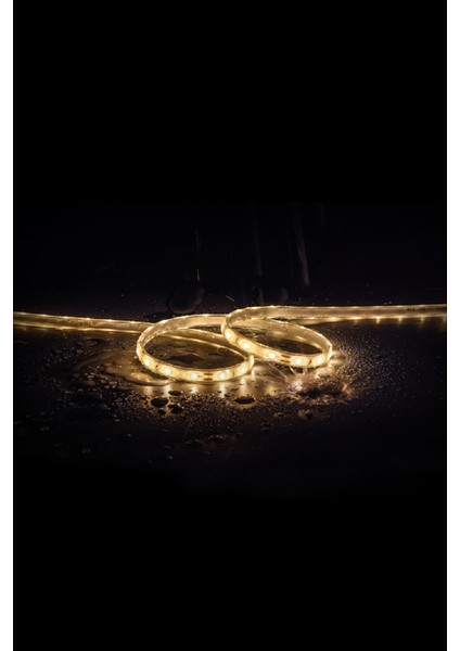 20 mt Dış Mekan IP68 Havuz Bahçe Şerit LED modelleri