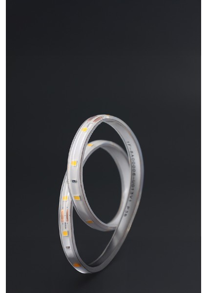 20 mt Dış Mekan IP68 Havuz Bahçe Şerit LED