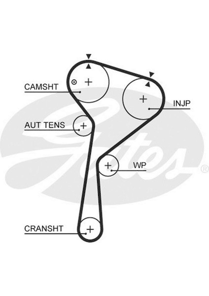 Mtxdpn Triger Kayişi 1.5 Dci (K9K) Duster-Logan-Sandero-Clio Ii-Iii-Fluence-Kangoo-Laguna Iii-Megane Ii-Iii-Modus-Scenic-Thalia-Twingo-Almera-Cube-Juke-Kubistar-Micra III-NOTE-QASHQAI-TIIDA-NV200-JI