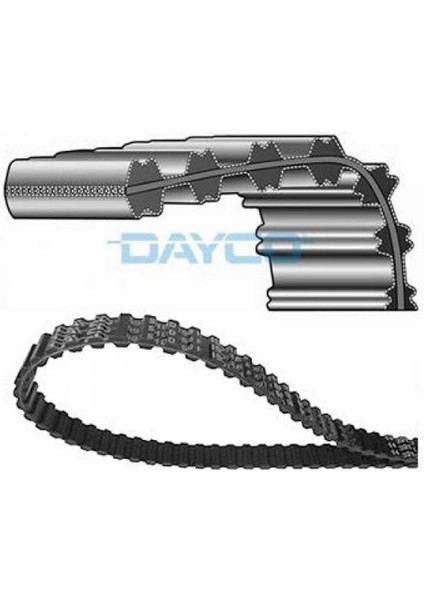 Mtxdpn Triger Kayişi 130 Roldd 150 H 145-146-156-SPIDER