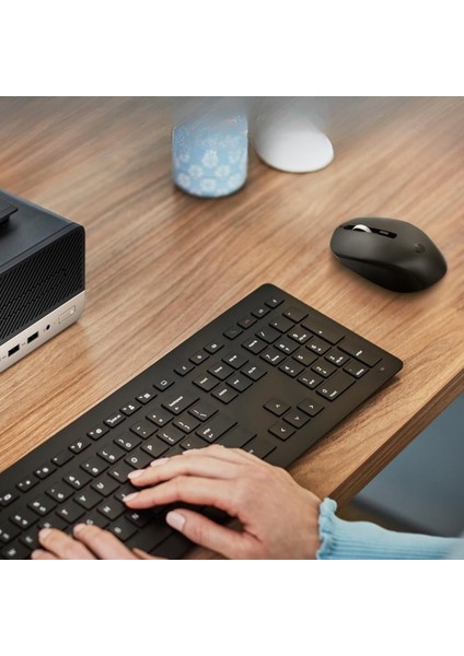 Hp 1000 Wireless Mouse