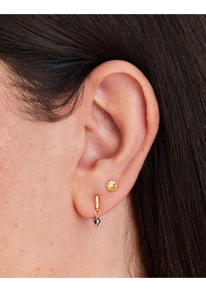 Z Çiçekli Küpe Set x 5 14 Ayar Altın Kaplama modelleri