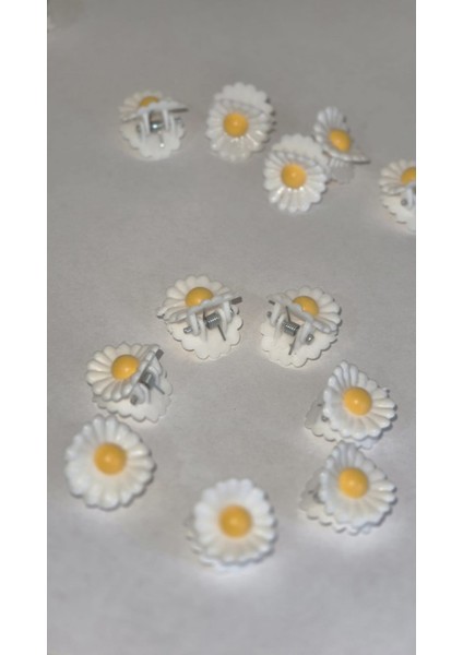 6 Adet Papatya Mandal Toka fiyatları