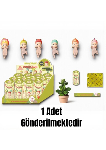 SONNY ANGEL HIPPERS DINOSAUR SERIES ( Tel,Tablet,PC,Oto Aksesuarı)