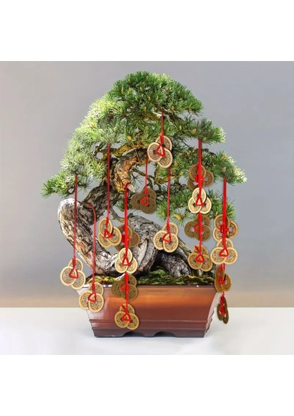 Feng Shui Şans Parası 3'lü Para Mıknatısı fırsatları