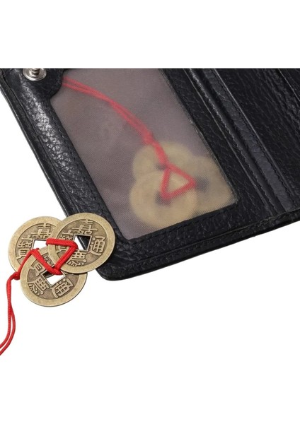 Feng Shui Şans Parası 3'lü Para Mıknatısı indirimleri