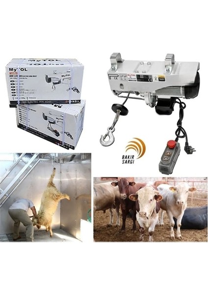 600-1200 kg Elektrikli Vinç Calaskal fiyatları