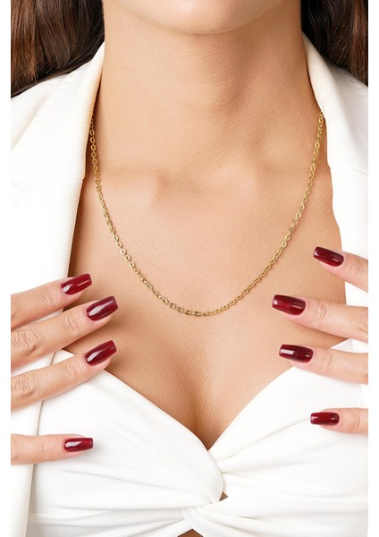 14 Ayar Altın Oval Halka Zincir Kolye