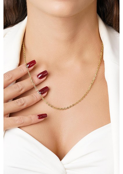 14 Ayar Altın Oval Halka Zincir Kolye fırsatları