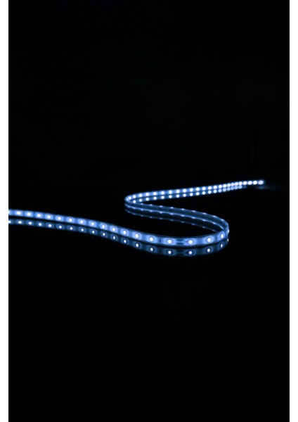 20 mt Dış Mekan IP68 Havuz Bahçe Şerit LED modelleri