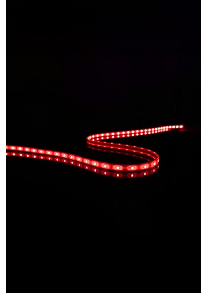 20 mt Dış Mekan IP68 Havuz Bahçe Şerit LED modelleri