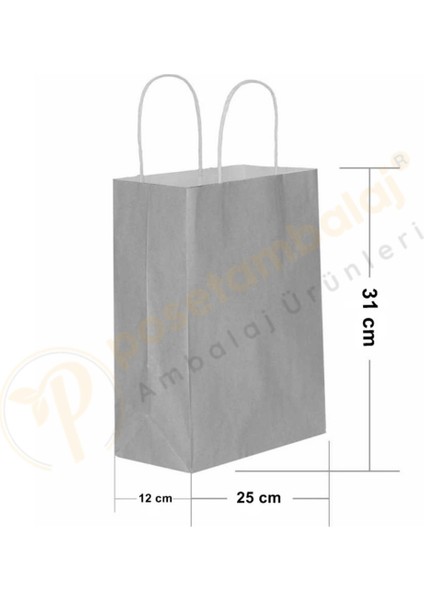 Gümüş Kraft Çanta Orta Boy 25X12X31 cm 25 Adet