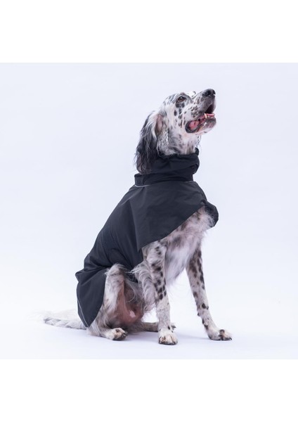 Siyah Colombia Prime Orta ve Büyük Irklar Için Köpek Yağmurluğu Köpek Kıyafeti Su Geçirmez Yağmurluk fırsatları