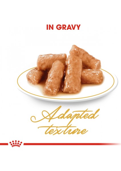 British Shorthair için Yaş Kedi Maması 12 x 85g